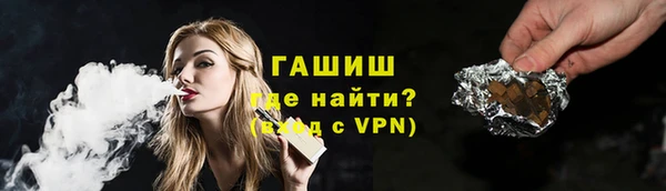 прущие грибы Гусиноозёрск