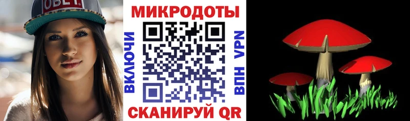 Галлюциногенные грибы мухоморы наркотики Белёв
