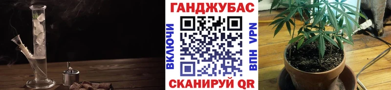 Бошки Шишки ГИДРОПОН  Белёв 